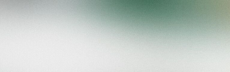 Abstract background with grainy texture fading from green to white