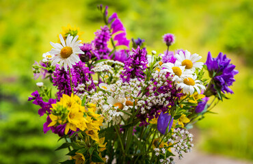 Bouquet of wild flowers on a meadow in the countryside in summer, close-up view.