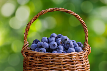 closeup ripe blueberries in wicker basket outdoors