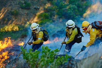 Fire, forest and men with teamwork for emergency, disaster management and damage control in bush....