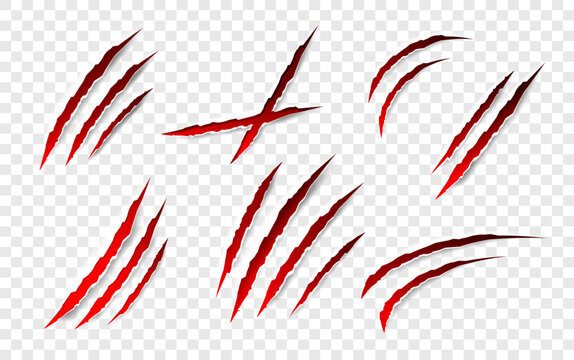 Claws scratches - vector isolated. Claws scratches animal claw tracks cat or tiger bear or lion attack nails scratches. Horror, halloween monster. Vector