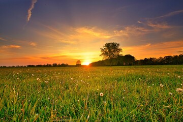 Sonnenuntergang in den Wiesen