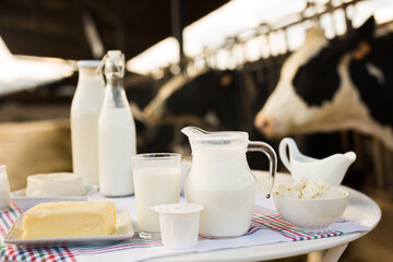 Milk, cottage cheese, cream, cheese on table against background of cows