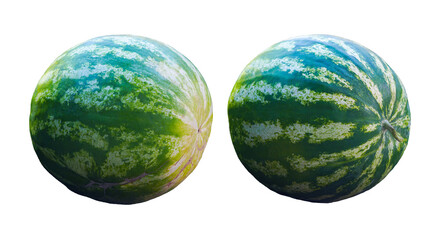 there are big watermelons