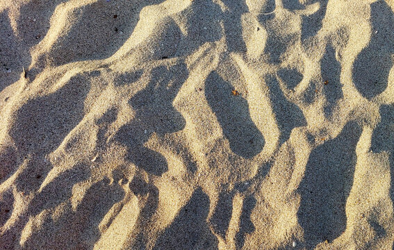 sand beach texture background