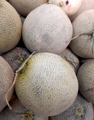 Green melons or honeydew at the market