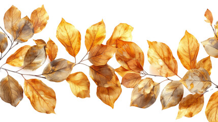 Fototapeta premium Elegant golden leaf border isolated cut out on PNG format