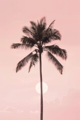 a single palm tree with a pink sky