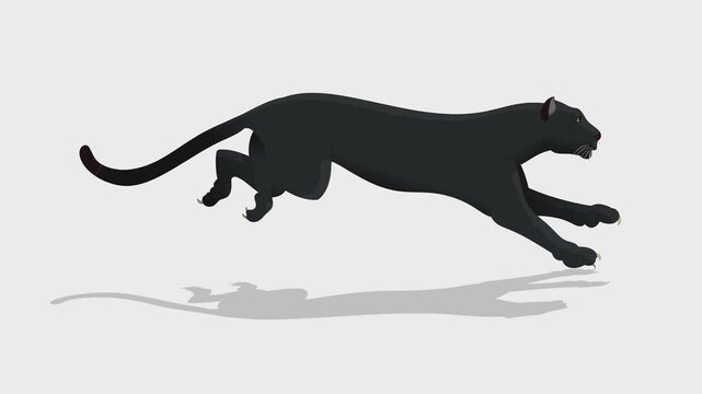 Running cheetah aniamtion video