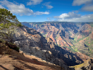 Obraz premium Panoramic view of Waimea Canyon on the Hawaiian island of Kauai, USA seen from Waimea Canyon Lookout