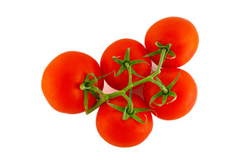 Red, fresh tomatoes on a branch isolated on a white background. Full depth of field.