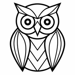 owl on white background