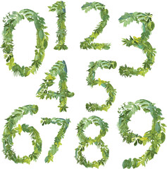 The shape of the number 0,1,2,3,4,5,6,7,8,9 or 1-9 is made of various kinds of leaves, suitable for number template, go green concept