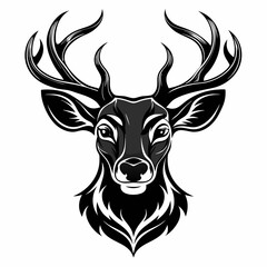 Fototapeta premium Dear Head