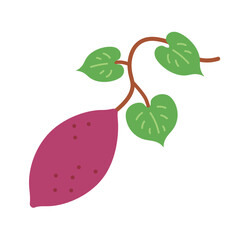 蔓のついたサツマイモのイラスト