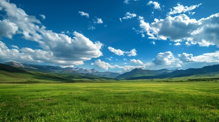 Obraz premium Beautiful natural background with green field and blue sky