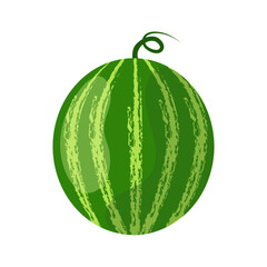 Watermelon icon. Flat design. Element for poster design, packaging. Vegetarian and healthy food. Vector graphics 