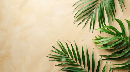 Cosmetic and beauty background. Fresh palm leaves on beige background with copy space. 