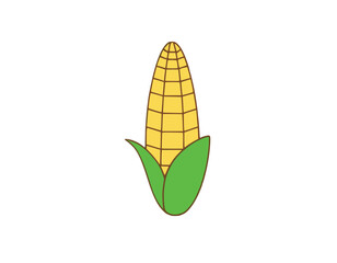 Vector cartoon corn on white background.
