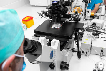Embryologist adding sperm to egg in laboratory of reproductive clinic. in vitro fertilization, egg freezing. injects one sperm into each egg by microinjection. intracytoplasmic Sperm injection. IMSI
