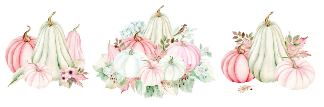 Set of white and pink pumpkins, fall leaves and flowers. Watercolor illustration in pastel colors. The drawing is hand drawn. Suitable for cards, scrapbooking, invitations and textiles