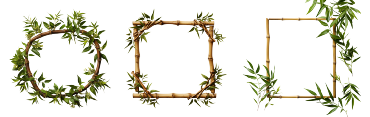Set of eco-friendly bamboo and leaves frames. Isolated on a transparent background.	