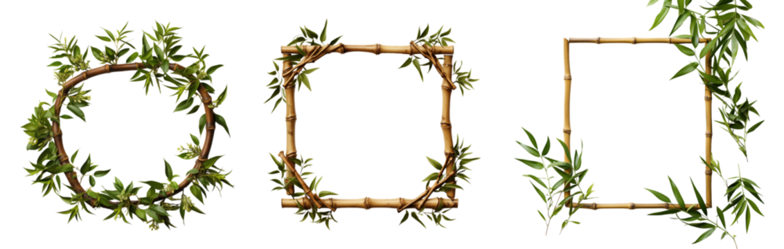 Set of eco-friendly bamboo and leaves frames. Isolated on a transparent background.	