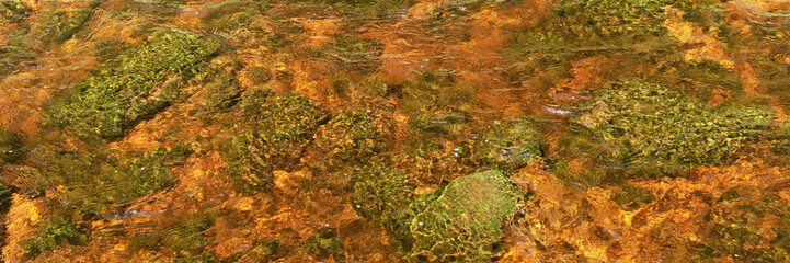 Panoramic image. Stones with moss under the water surface