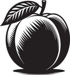 Peach vector illustration isolated on a white background.