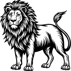 Lion Vector