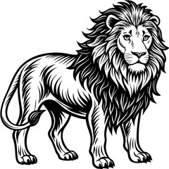 Lion Vector