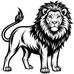 Lion Vector