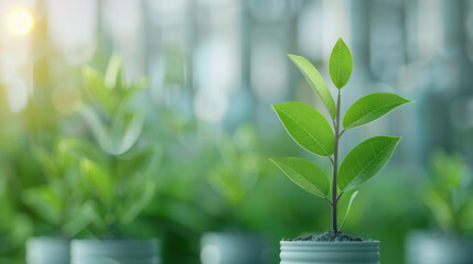 Business workshop on reducing carbon emissions for environmental goals, with copy space, comprehensive coverage of objects, deep depth of field.