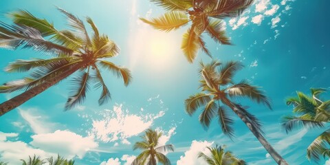 Palm Trees Under Blue Sky
