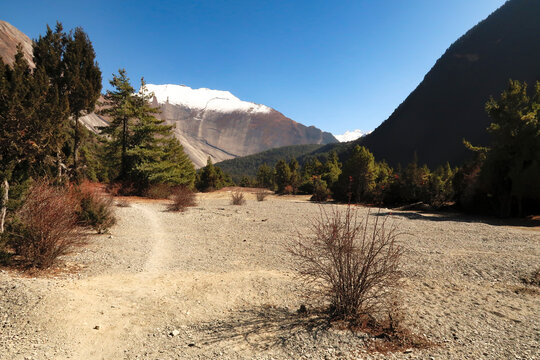 On the trail between Dhukur, Dhikur Pokhari and Upper Pisang looking back to the smooth western rock face of Paungda Danda, the Great Wall of Pisang, Annapurna Circuit Trek, Nepal