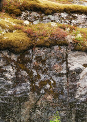 Rock, moss and mountain in nature with growth for environment, sustainability or algae in countryside. Closeup, empty and ecology with moist stone for ecosystem, organic matter or explore Norway