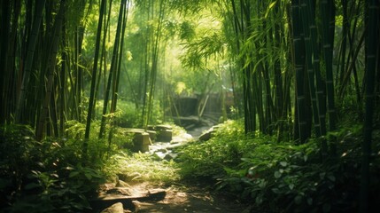 Obraz premium Lush Japanese bamboo grove with sunlight filtering through leaves