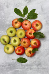 Beautiful green and red apples top view photo. Juicy organic fruit on light grey textured background with space for text. Healthy eating concept. 