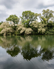 Obraz premium autumn leaves branches and lake background