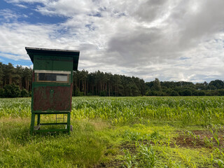 Rural Landscape Hunter's Lodge Scenic View Observation Tower outdoors landscape