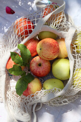 Green and red apples with leaves in white cotton mech bag. Eco friendly reusable shopping bag close up photo. Ripe apples in a string bag on a white tablecloth. Eating healthy concept. 