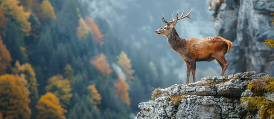 Deer standing on a cliff in the background with beautiful nature. Generative AI