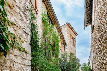 Stone alley with green foliage and historic architecture, creating a charming scene