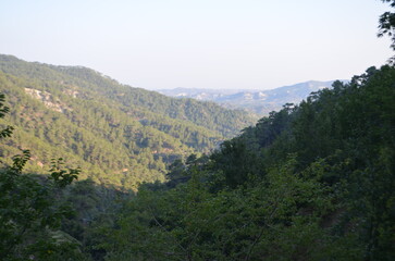 Fototapeta premium Mountain view full of trees, light and shadows