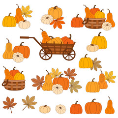 Autumn pumpkin harvest and Thanksgiving celebration concept vector design elements