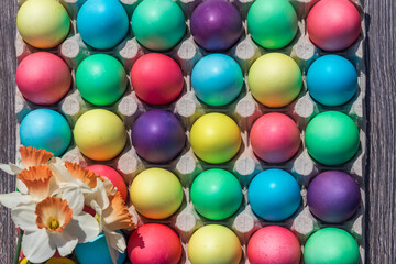 area laid out of colored Easter eggs