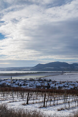 Naklejka premium Winter vineyards under Palava near Sonberk, South Moravia, Czech Republic