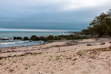 Sea sandy beach in cloudy weather. Seascape