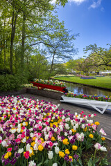 Obraz premium Keukenhof flower garden - largest tulip park in world, Lisse, Netherlands
