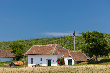 Traditional wine cellars street in Diepolz near Mailberg, Lower Austria, Austria